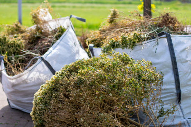 Best Residential Junk Removal  in Crane, MO